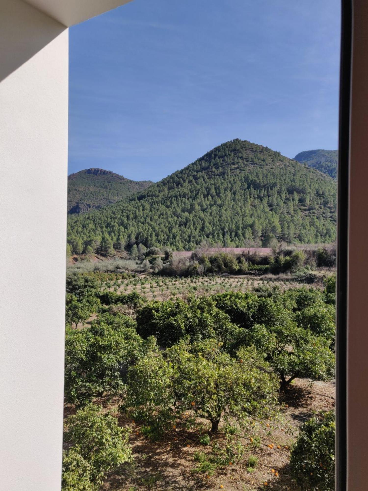 L'Almassera - Chimenea Y Montana Para Grupos En Aielo De Rugat Ayelo de Rugat Exterior foto