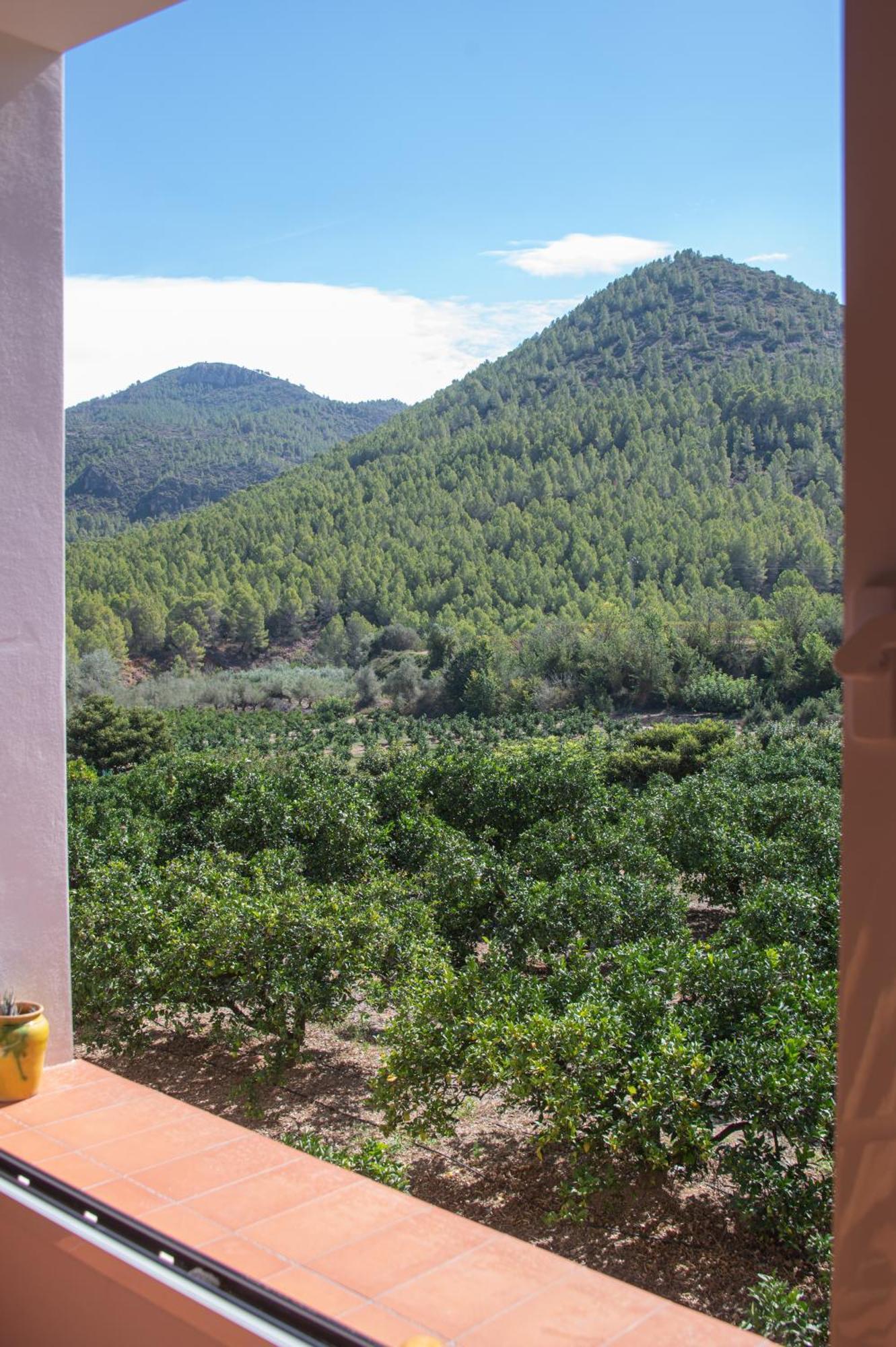 L'Almassera - Chimenea Y Montana Para Grupos En Aielo De Rugat Ayelo de Rugat Exterior foto